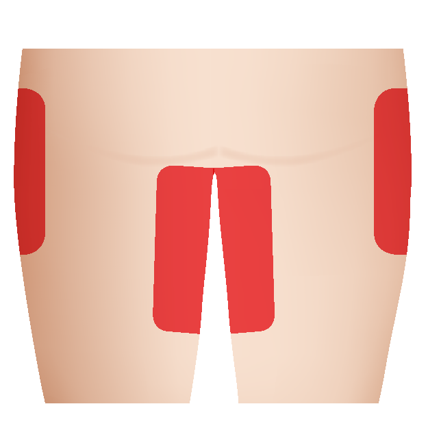 https://www.tricellbio.com/wp-content/uploads/2020/06/Thigh-01.png
