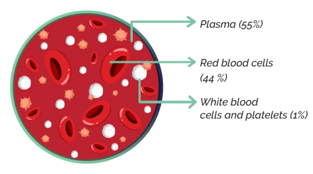 whole blood contains-01